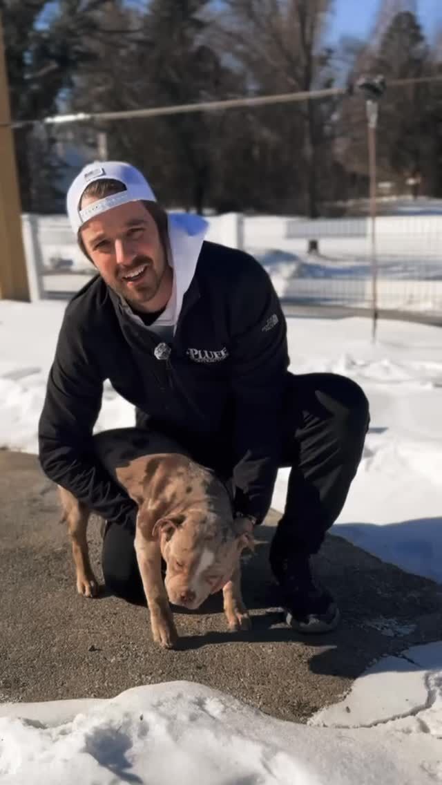 We have openings for a few smaller projects or repairs coming up, if you or if you know someone that may be in need of our services just go ahead and send us a message and we will be in contact!